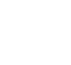 鵬鴻規模優勢