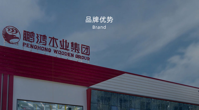 板材品牌、全屋定制品牌、生態板十大品牌