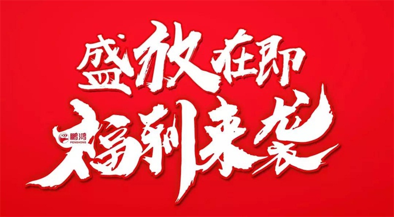 再拓疆域！鵬鴻We+定制&紅星美凱龍聯袂亮相烏魯木齊