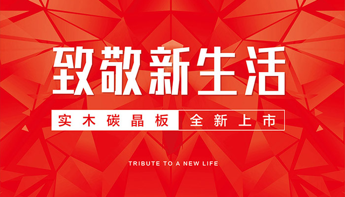 鵬鴻實木碳晶板上市